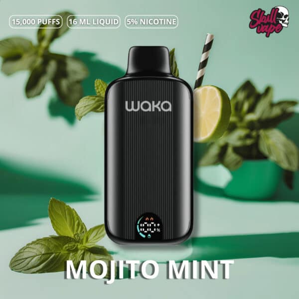 Mojito mint - Waka DMi (15 mil hits)
