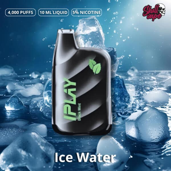 Blueberry mint - IPLAY XBOX 4,000