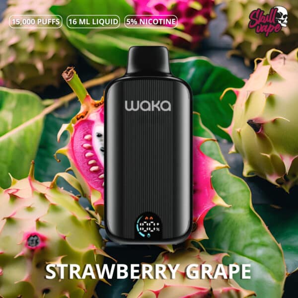 Kiwi Dragon Fruit Berry - Waka DMi (15 mil hits)