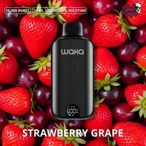 Watermelon chill  - Waka DMi (15 mil hits)