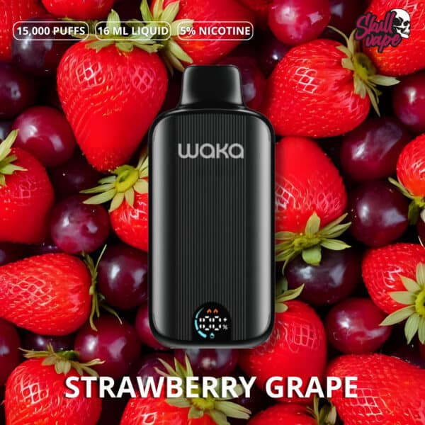 Watermelon chill  - Waka DMi (15 mil hits)