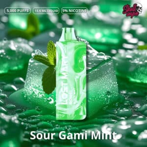 Sour Gami Mint  - Lost Mary MO5000