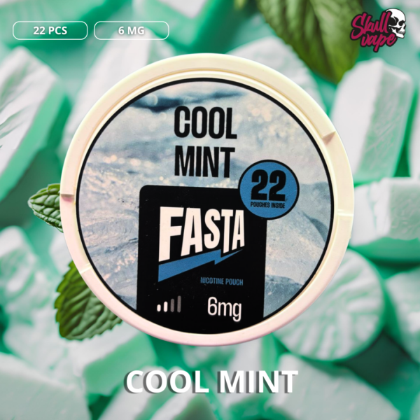 22 Pouches Fasta Cool Mint