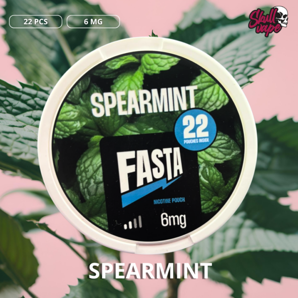 22 Pouches Fasta Spearmint