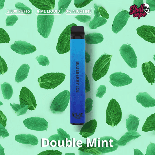 Double Mint-iPlay Max 2500