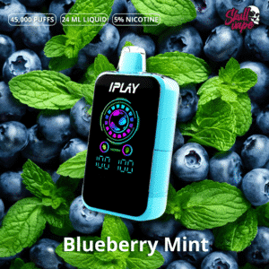 Blueberry Mint - Iplay Burst 45 mil