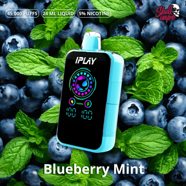 Blueberry Mint - Iplay Burst 45 mil