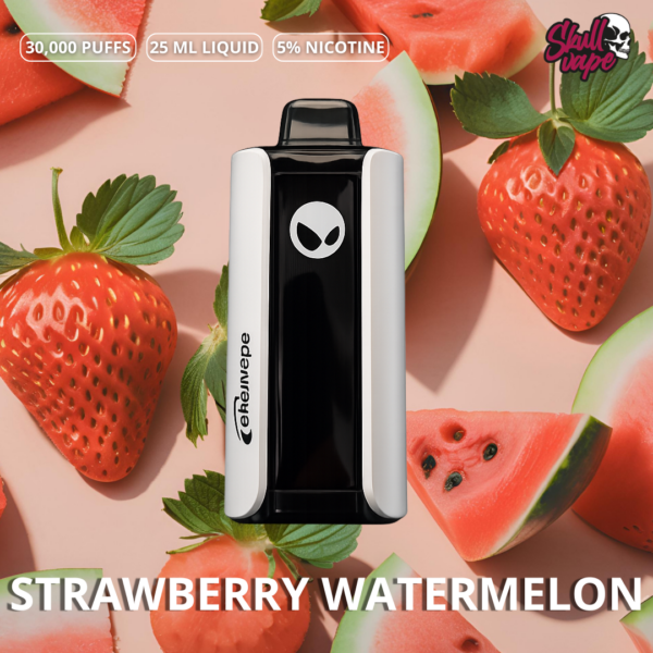 Strawberry Watermelon- Waka 30,000 Upgrade
