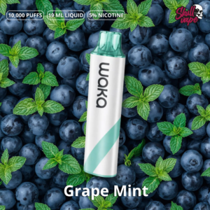Grape Mint - Waka Go 10,000