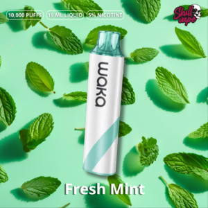 Fresh Mint -Waka Go 10,000