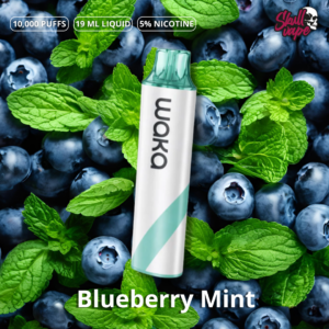 Blueberry Mint - Waka Go 10,000