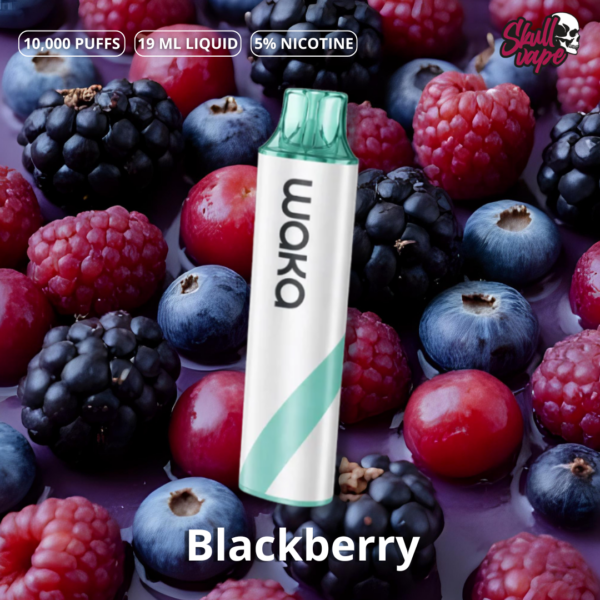 Blackberry - Waka Go 10,000