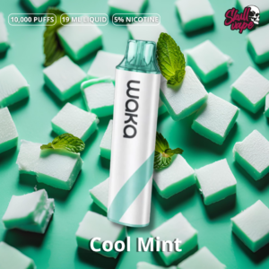 Cool Mint - Waka Go 10,000