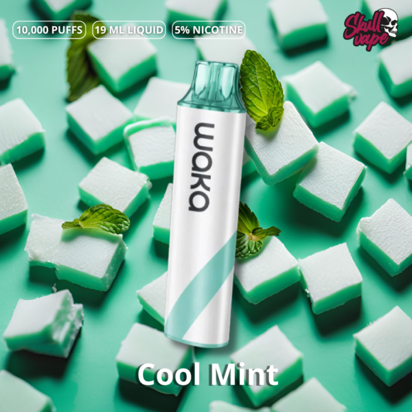 Cool Mint - Waka Go 10,000